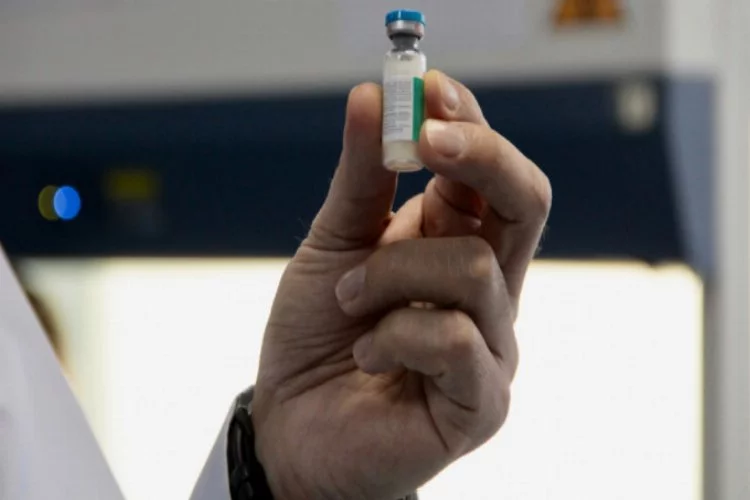 "Afrika hastalığı"na karşı yerli aşı
