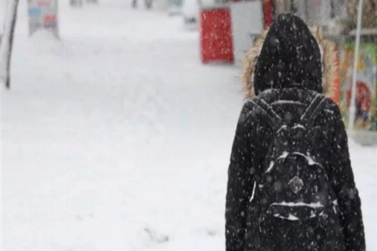 Van'da okullara 2 gün kar tatili