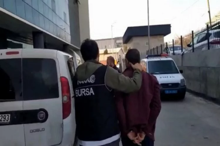 Bursa'da zehir avı! 6 kişi yakalandı...