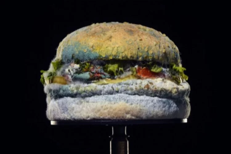 Fast food devinden 'Küflü Whopper' reklamı
