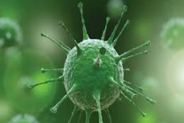 Koronavirüs salgını 4 ülkeye daha sıçradı