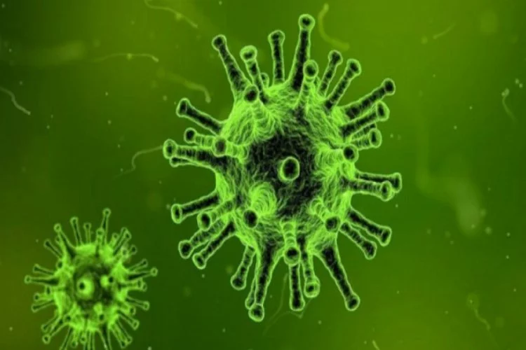 Belçikalı bilim insanları: Korona virüsü etkisiz hale getirdik