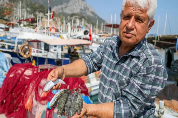'Kuyruğunu getir 5 lira al' projesi balıkçıları sevindirdi