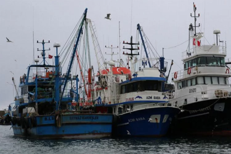 Karadeniz'de balık av sezonu erken kapanıyor