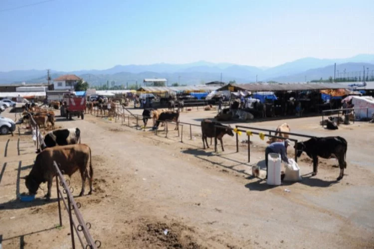 Bursa İnegöl'de hayvan pazarı kapatıldı