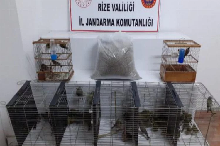 Nesli tükenen 61 kuşu avladı, 47 bin lira ceza uygulandı