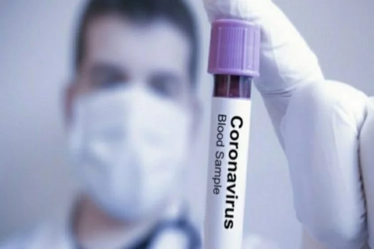 Sağlık Bakanlığı'ndan koronavirüs kontrolü için internet sitesi
