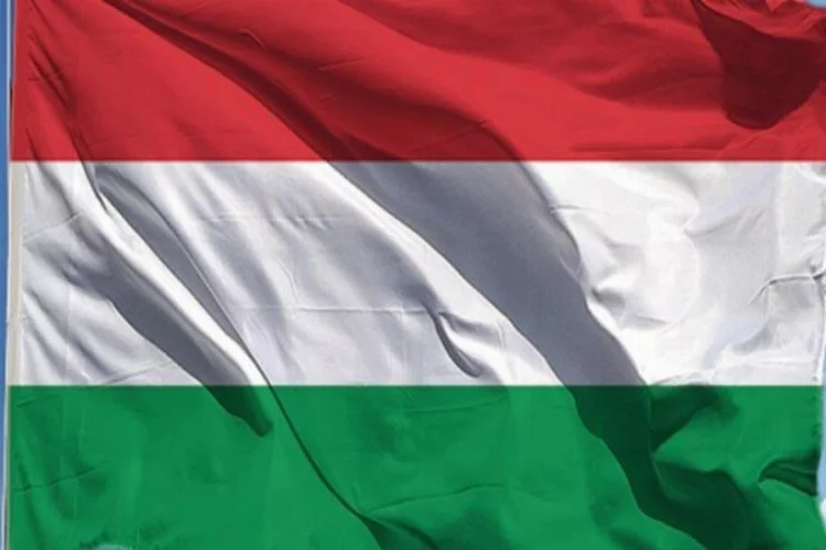 Macaristan'da virüs nedeniyle stratejik öneme sahip şirketleri ordu koruyor