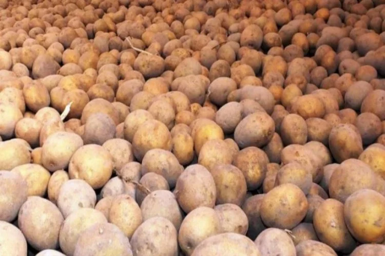 Patates ve soğan stoku yeterli