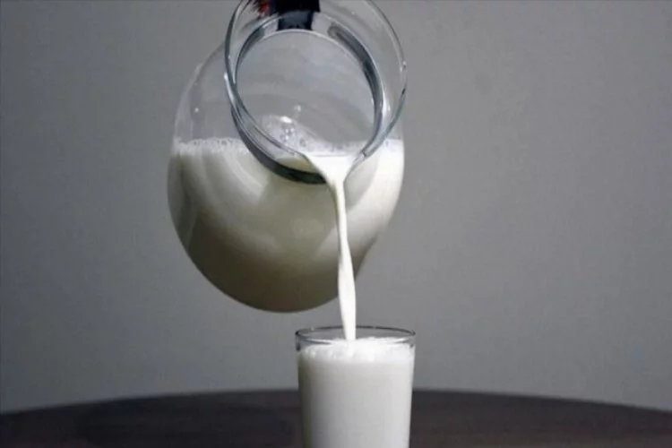 Ulusal Süt Konseyi süt üretiminin artacağını açıkladı