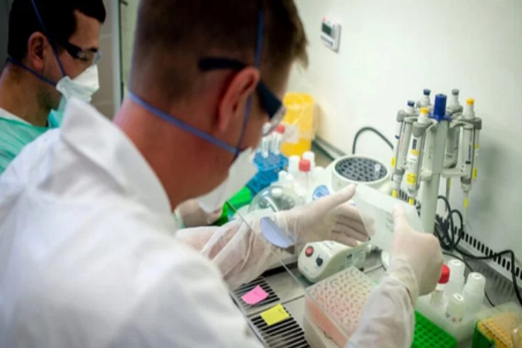 Fransa'dan koronavirüs atağı! 15 gün içinde sonuçlanacak