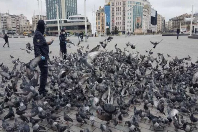 Aç kalan güvercinleri polisler besledi
