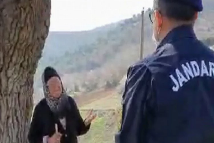 Bursa'da dağda hayvan otlatan yaşlı kadını böyle uyarıldı