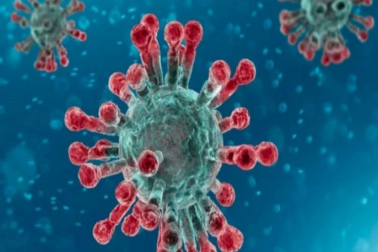ABD'de koronavirüsünden üçüncü Türk hayatını kaybetti