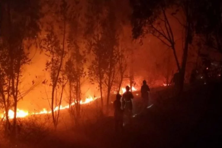 Çin'de orman yangını felaketi!