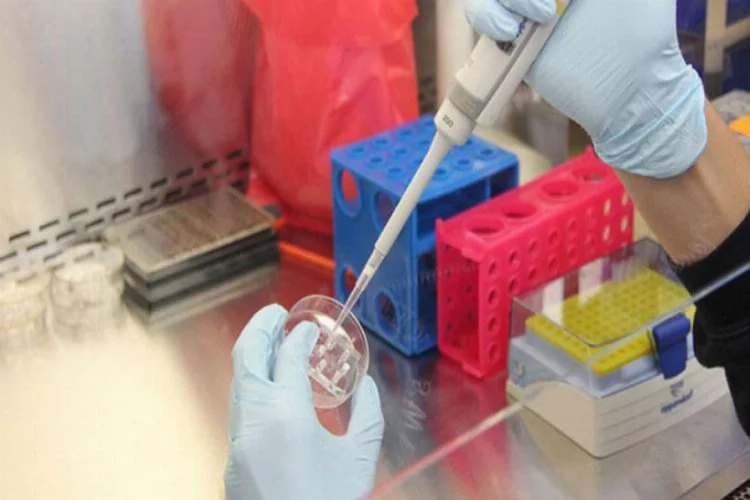 PCR testi nedir, nasıl yapılır? Koronavirüsü PCR testi sonucu ne zaman çıkar?
