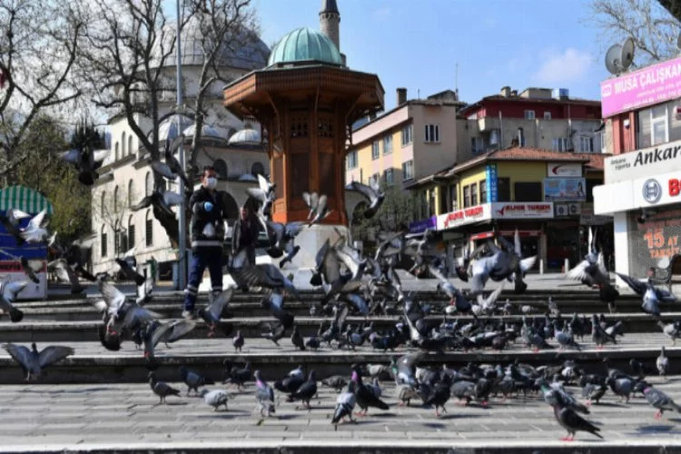 Bursa Osmangazi'de aç kalan güvercinler unutulmadı