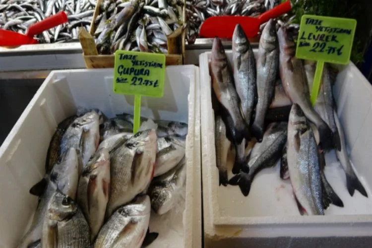 Bursa'da vatandaş ucuz balık yesin diye fiyatları yarı yarıya düşürdü