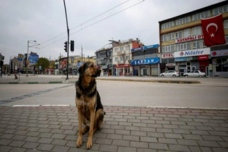 Bursa'da sokağa çıkma yasağının üçüncü gününde sessizlik hakim