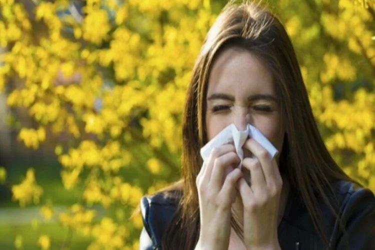 Bahar alerjilerinin sebebi histamin olabilir