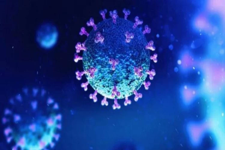 Kanser hastaları koronavirüsten nasıl korunmalı?