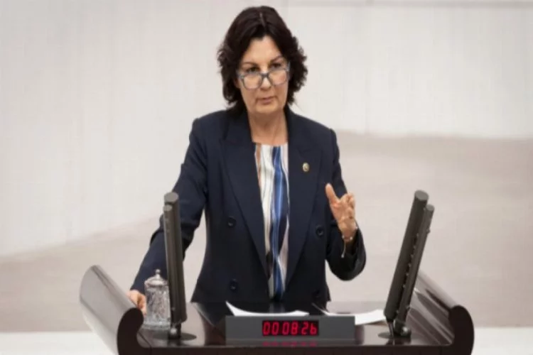 CHP Bursa Milletvekili Karabıyık'tan gelir yetersizliği vurgusu