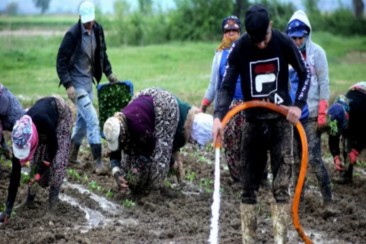 Bursa'da çiftçiler Cumhurbaşkanı Erdoğan için üretecek