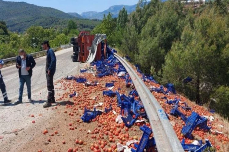 20 ton domates yola saçıldı!
