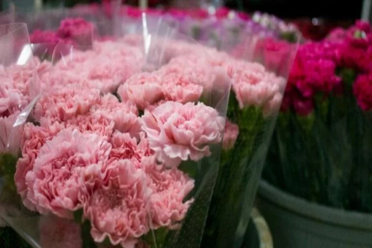 Çiçekçiler "Anneler Günü'nde" sokağa çıkma kısıtlamasından muafiyet istiyor