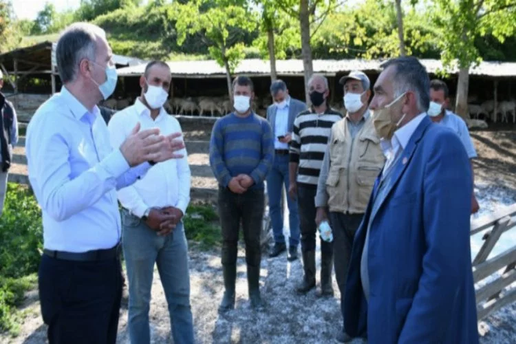 Bursa'da Başkan Taban hayvan yetiştiricilerini ziyaret etti