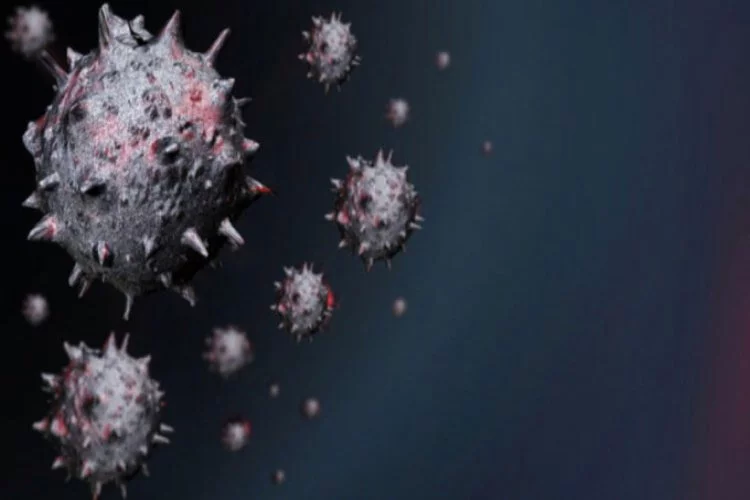 Çin'de 285 koronavirüs hastası üzerinde araştırıldı!