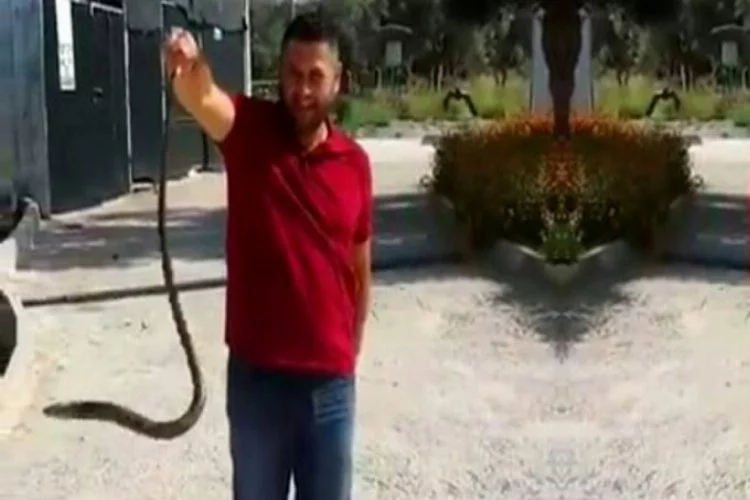 Korkusuz vatandaş, bahçesine giren yılanı eliyle yakaladı