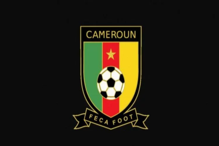 Kamerun'da birinci ve ikinci futbol ligleri tescil edildi!