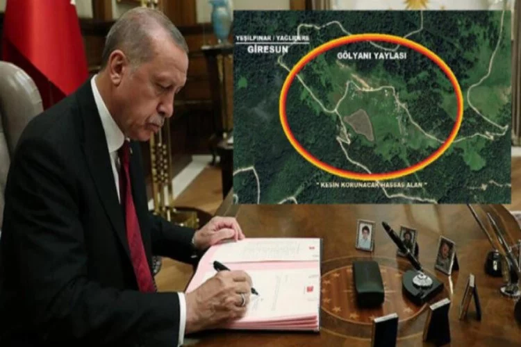 Cumhurbaşkanı Erdoğan onayladı! "Kesin korunacak hassas alan" ilan edildi