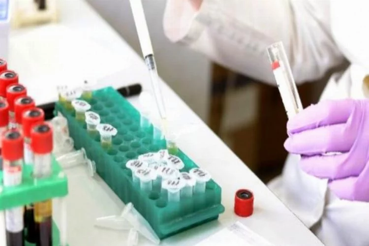 Çin'de ikinci dalga paniği: 11 milyon Vuhanlı'ya koronavirüs testi