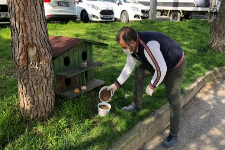 Bursa Yıldırım'da sokak hayvanlarına şefkat
