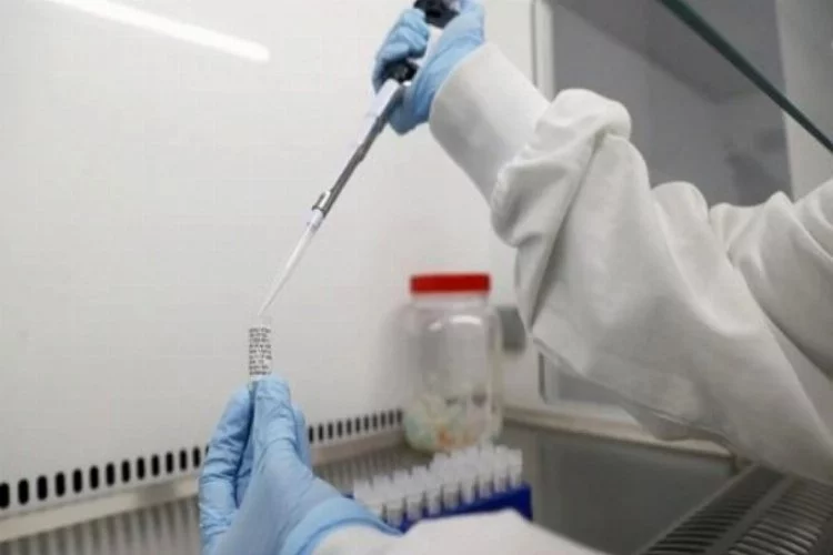 Çinli bilim insanlarından koronavirüse karşı yeni çözüm: Fareler üzerinde başarılı oldu!