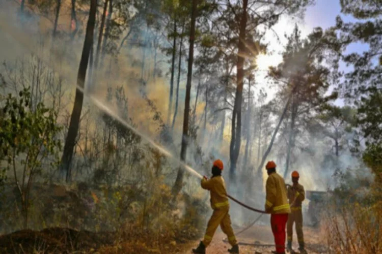 OGM, 18 bin 545 personeli ile orman yangınlarına hazır