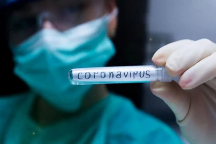 Hava kirliliği koronavirüsü etkiliyor mu?