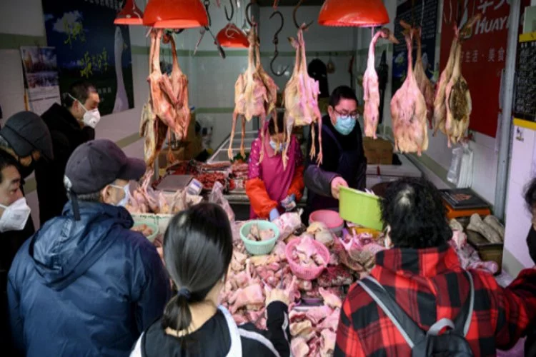 Çin'de vahşi hayvan ticaretine karşı bir hamle daha!