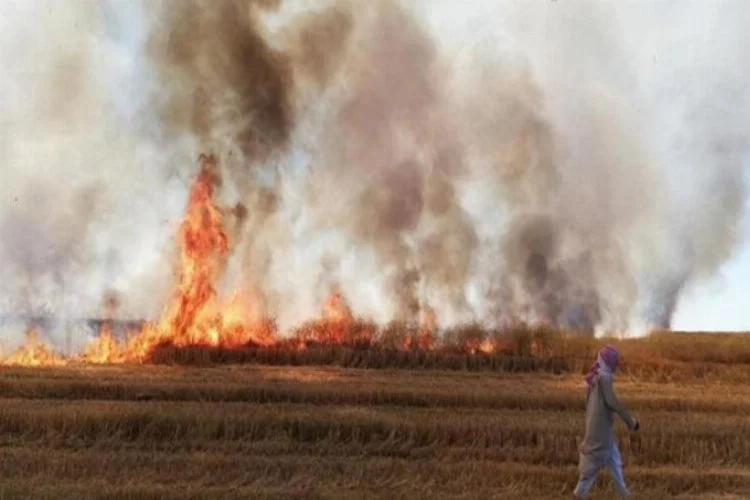 Teröristler sivillerin tarım arazilerini yaktı