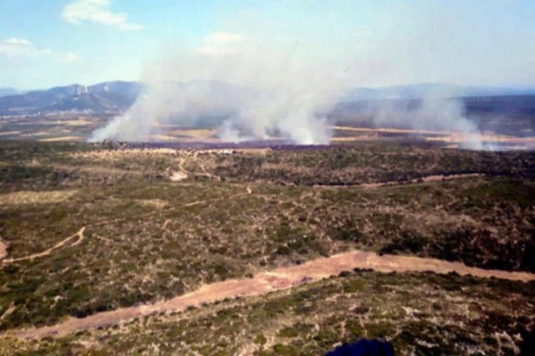 5 saatlik yangında 45 hektar kül oldu!