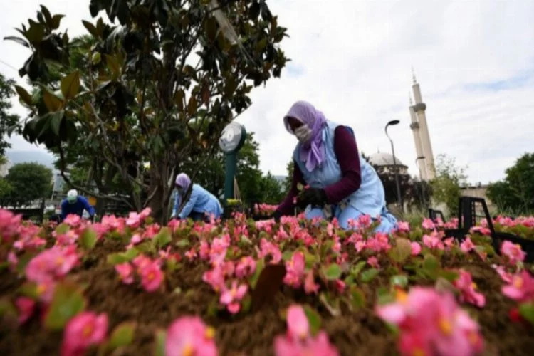 Bursa Osmangazi'de 200 bin çiçek toprakla buluşuyor