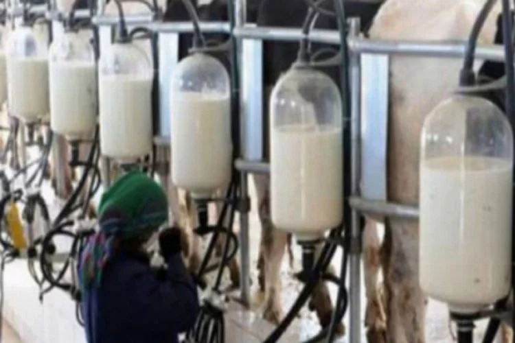 Bursa süt sektöründen ihracatı yükseltme önerisi