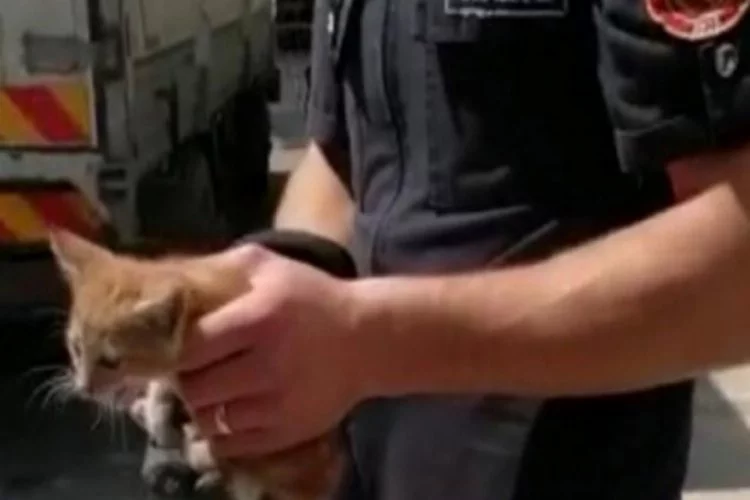 Bursa'da sıkışan kediyi itfaiye kurtardı