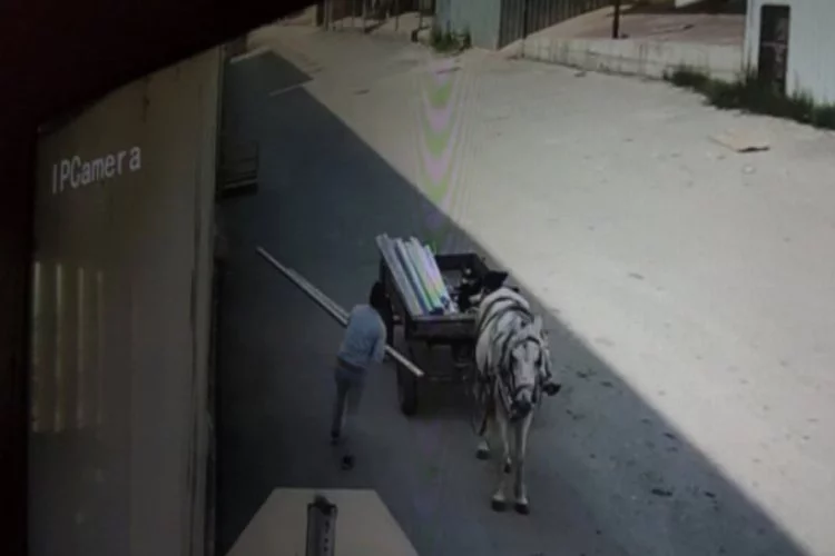 Bursa'da at arabalı hırsızlık şüphelisi kadın kamerada