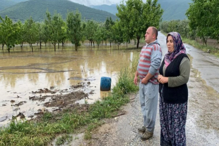 Bursa'da binlerce dönüm sular altında kaldı!