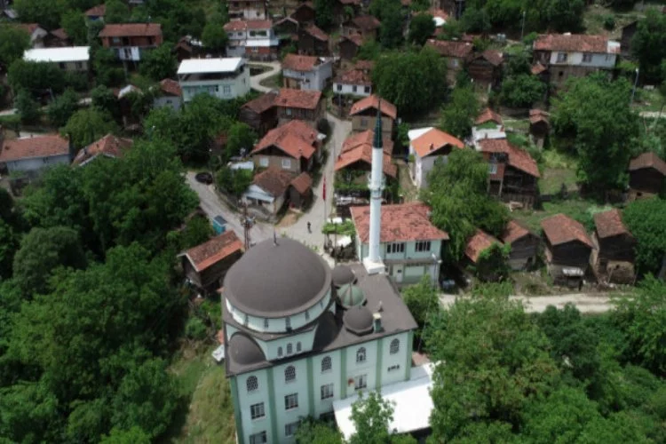 Bursa'daki bu köye koronavirüs uğramadı!