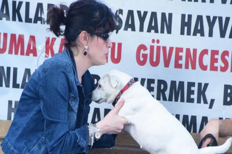 Gonca Vuslateri: Köpekleri çok seviyorum
