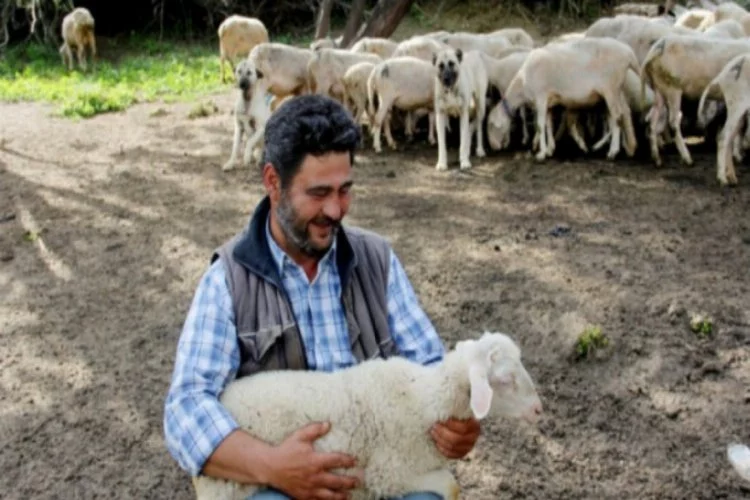 Bursa'da doğa ve hayvan sevgisiyle 40 yıldır çobanlık yapıyor